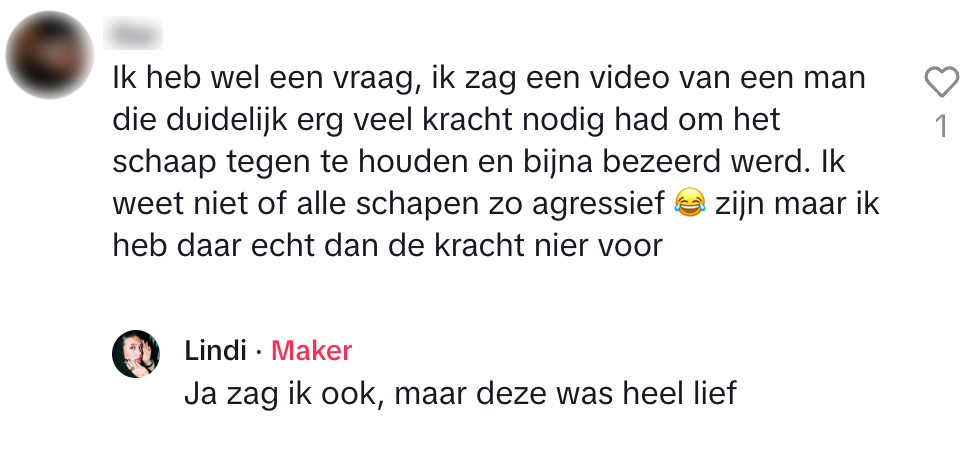 schaap