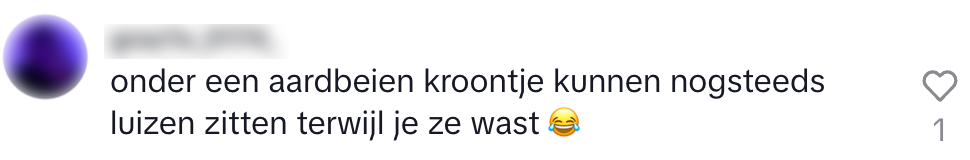 spinazie