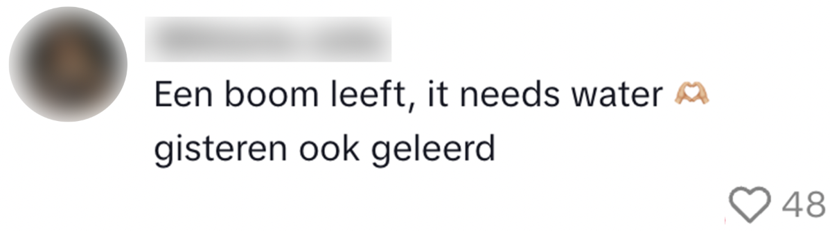 nieuwjaar