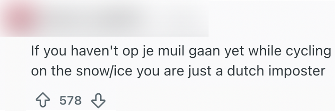 nederlandse