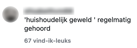 huishoudelijk