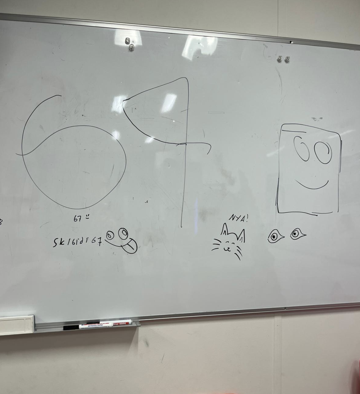 whiteboard