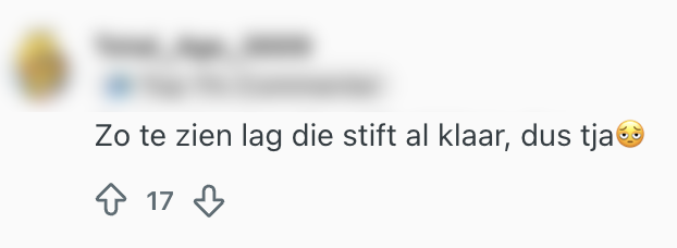 albert heijn