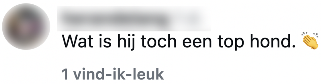 politie