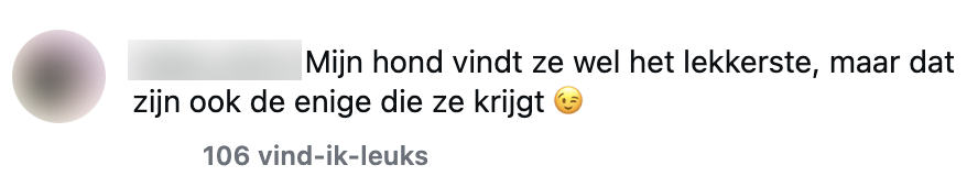 hondenvoer