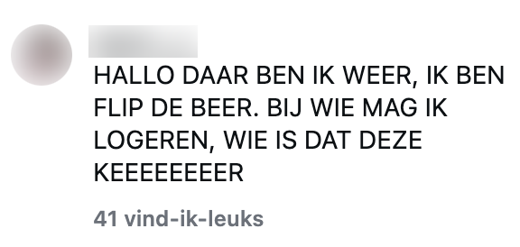 flip de beer