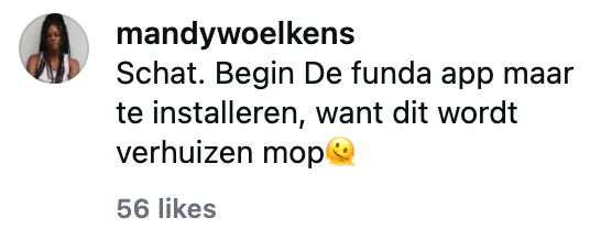 rookmelder