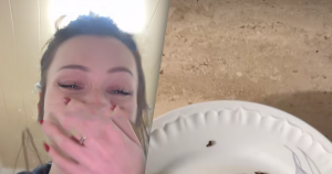 afbeelding airbnb