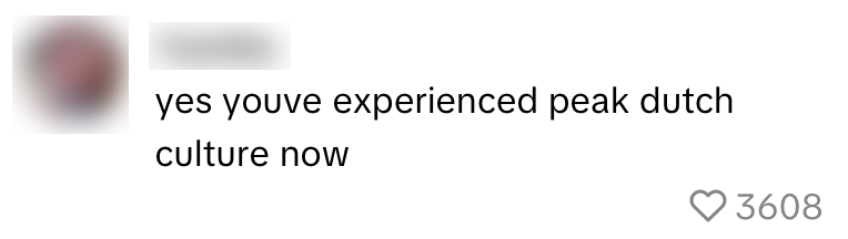 typisch nederlands airbnb