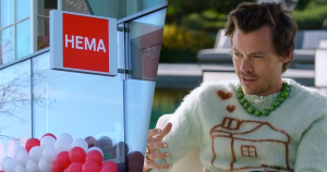 harry styles zonder