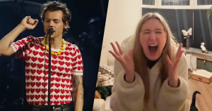harry styles zondr