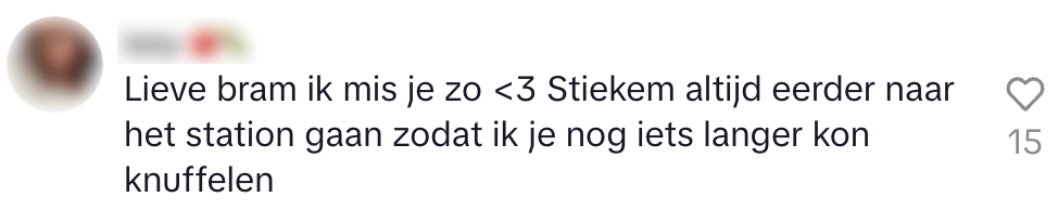 stationskat