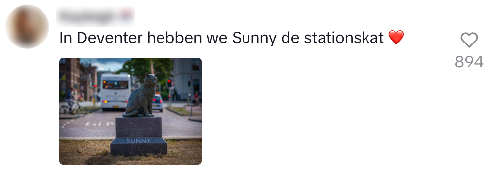 stationskat