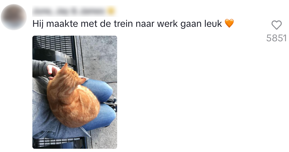 eerbetoon