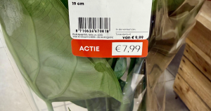 plus zonder