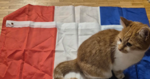 vlag zonder