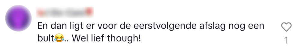 Automobilist