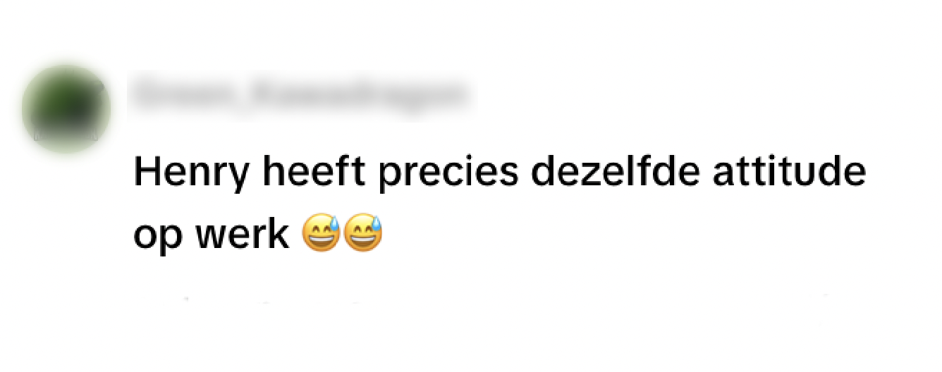 stofzuiger Hetty