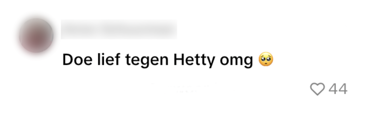 stofzuiger Hetty