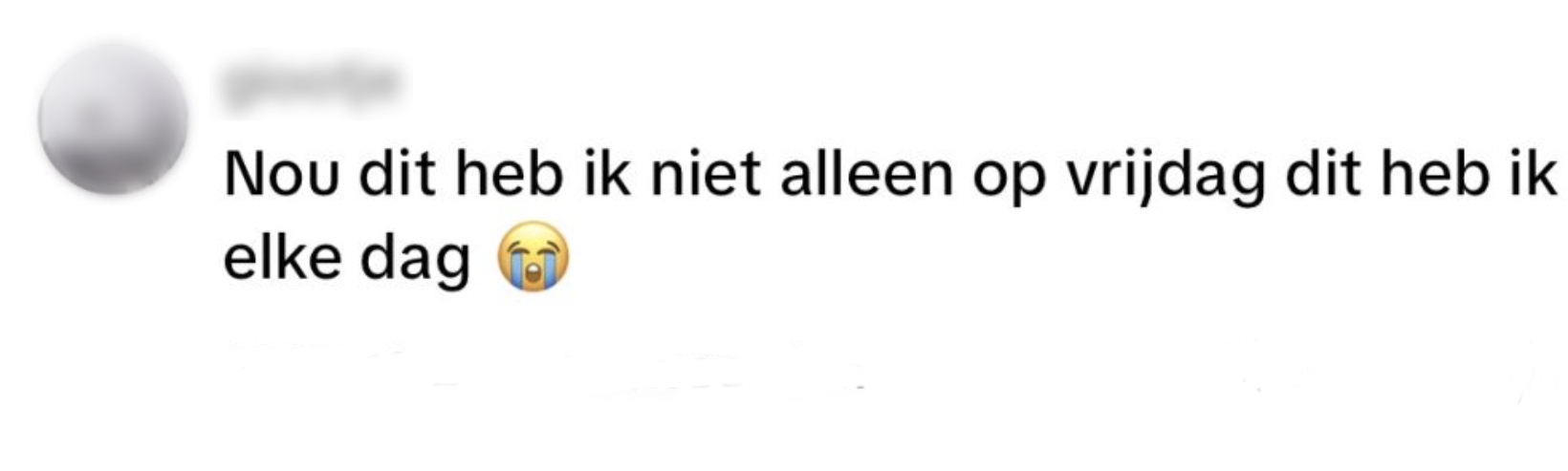stofzuiger Hetty