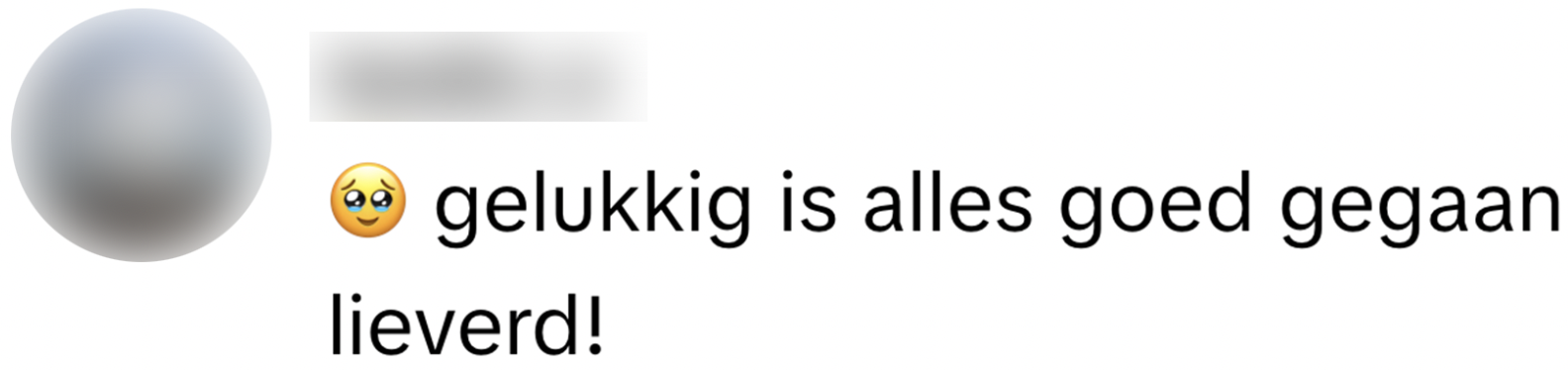 automobilist