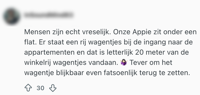 albert heijn