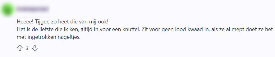 tijger is een kattennaam