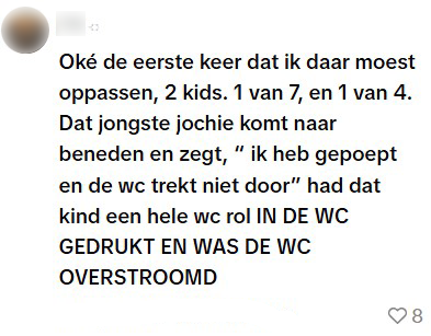wc verstopt