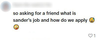 sander weer op KLM tiktok