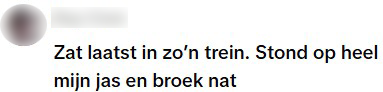 trein vies