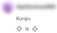 konijn eten