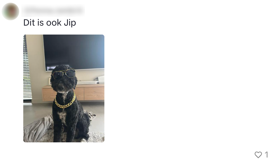 honden