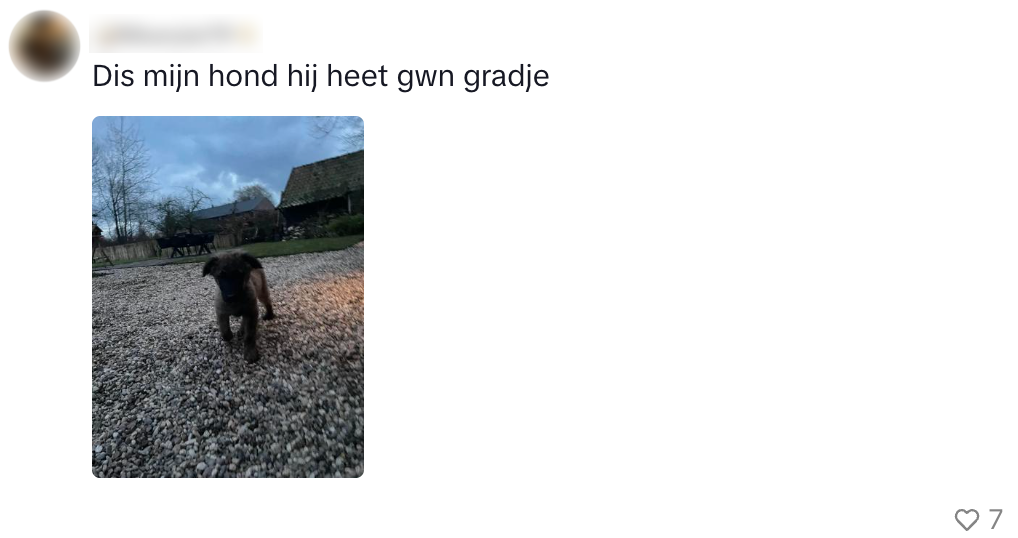 hondennamen