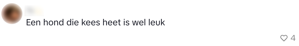 hondennamen