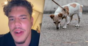 hond uit