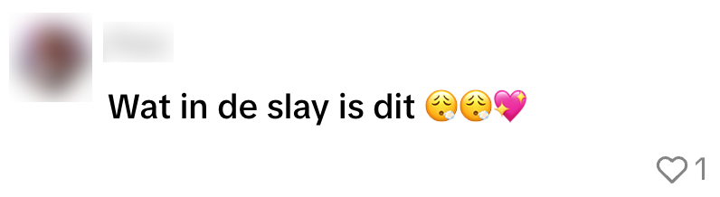 lidl tas
