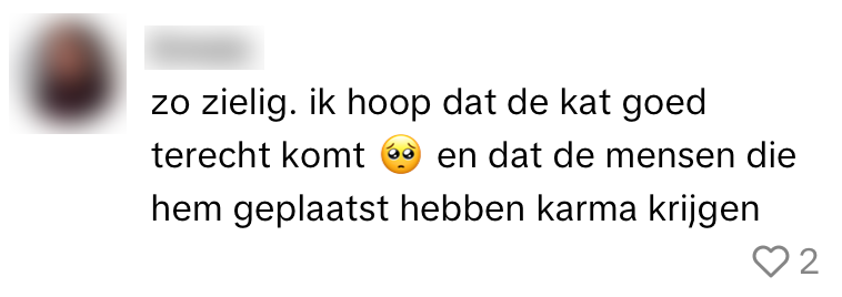 poes kat