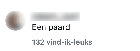 paard