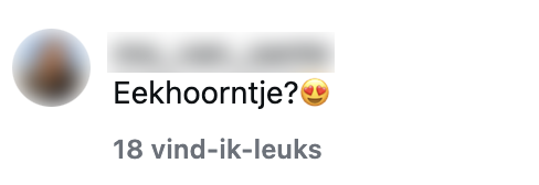 eekhoorn