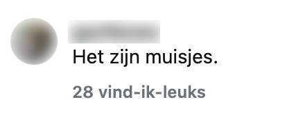 motorkap