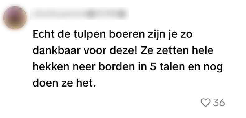 Toeristen