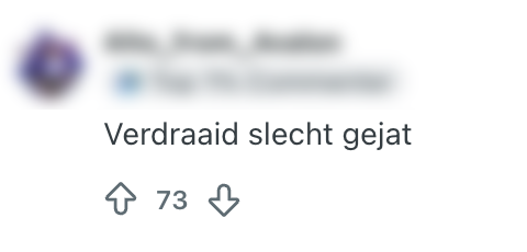 albert heijn