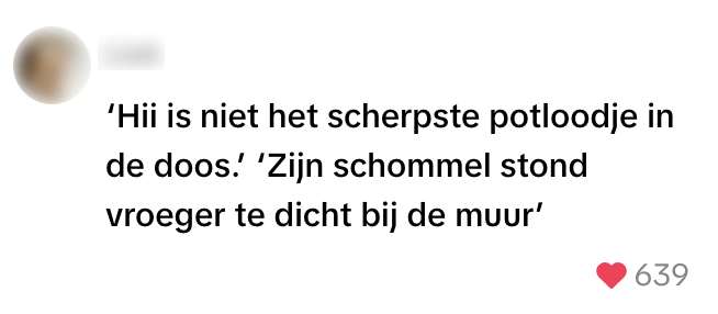 beledigingen