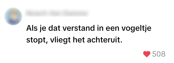 beledigingen