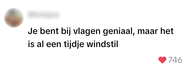 vlagen
