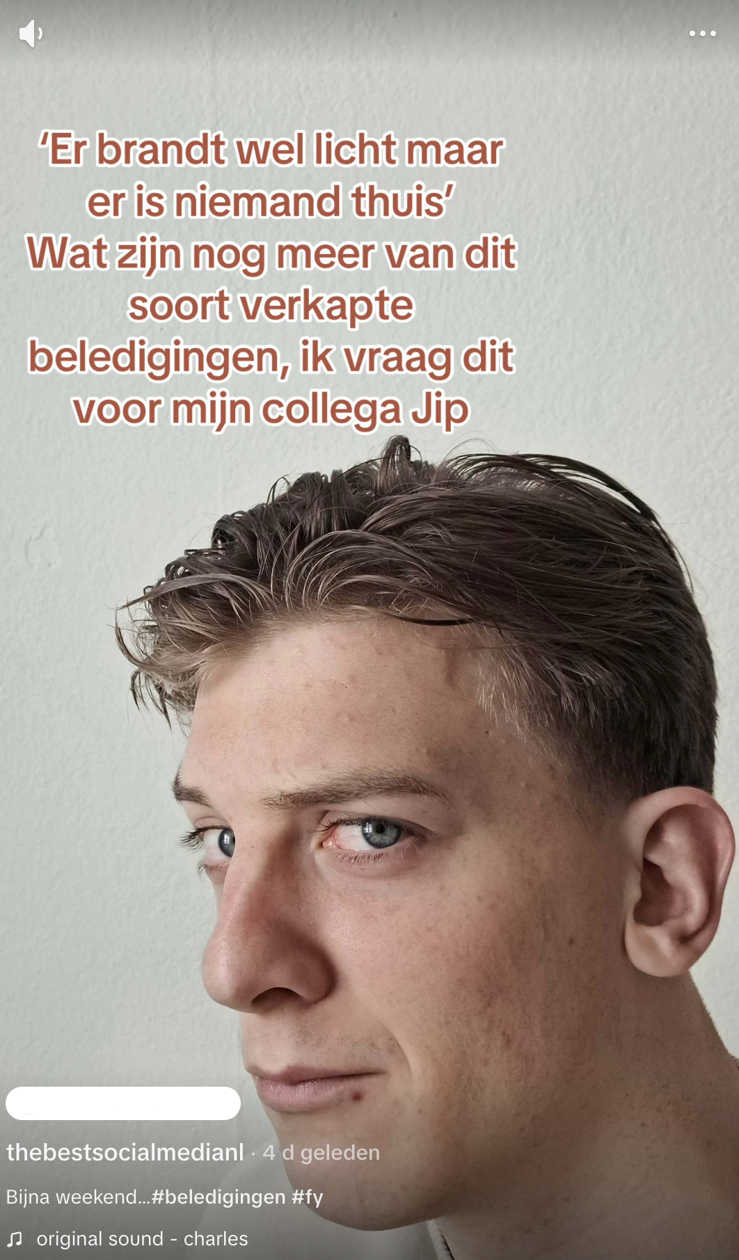 beledigingen