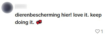 hond