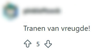 frikandelbroodje