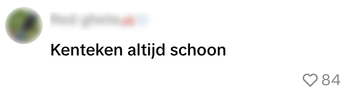 ruitenwisser