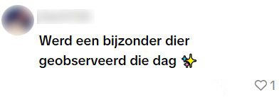 bijzonder dier